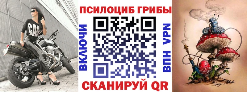Купить где Высоковск Галлюциногенные грибы Cubensis