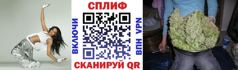Купить Высоковск Канабис Amnesia